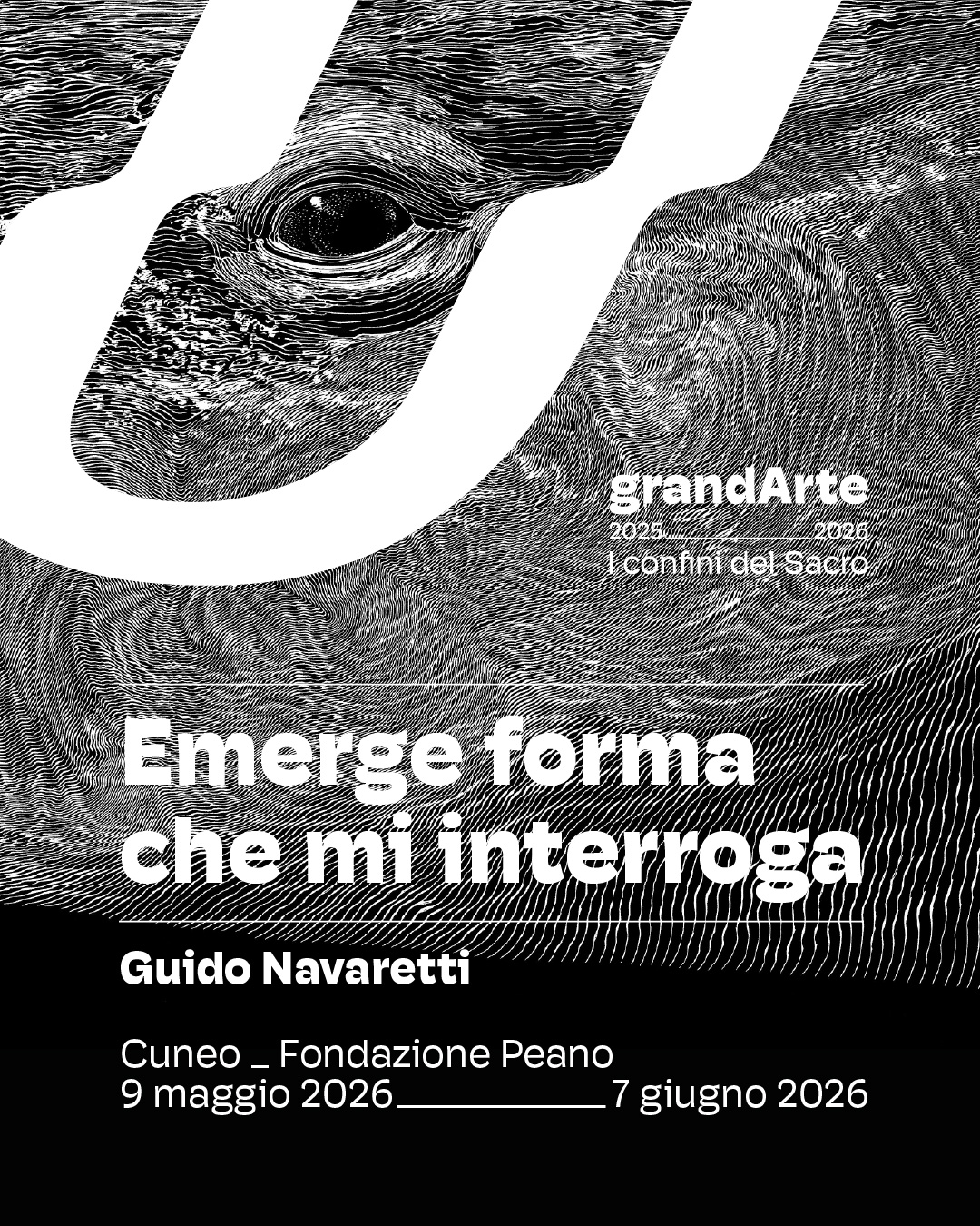 EmergeForma_ Emerge forma che mi interroga
